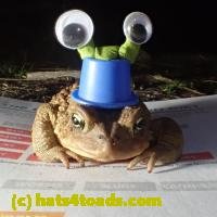 /home//u458753944/public_html/sourcegallery//////Roxborough Toad Detour/2013-2019/2018/2018-04-13/P4130013.JPG